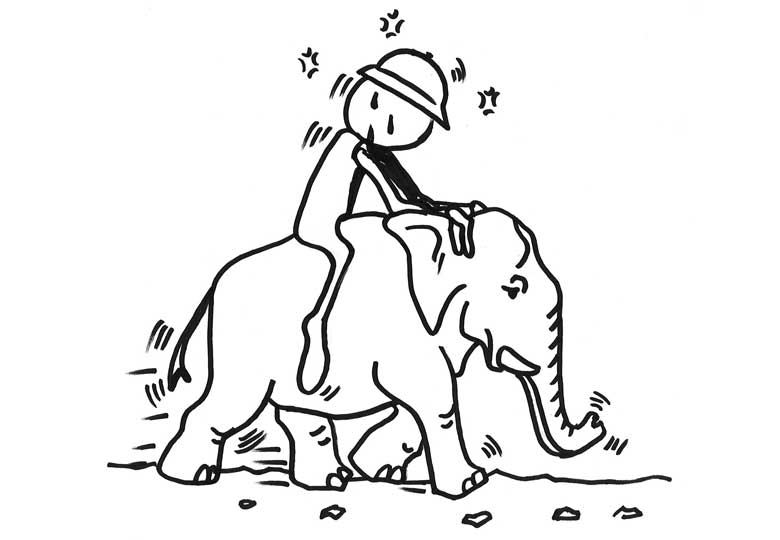 Jazda na słoniu Bunkrów Nie Ma